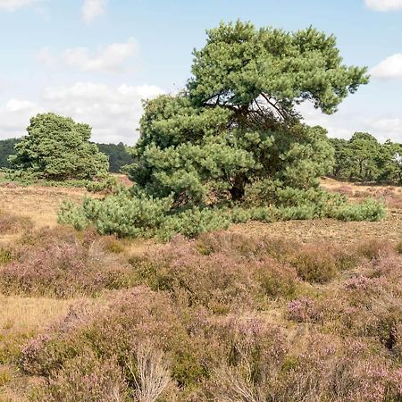 Heerlijke Vakantiewoning Veluwse Bossen Putten Dış mekan fotoğraf