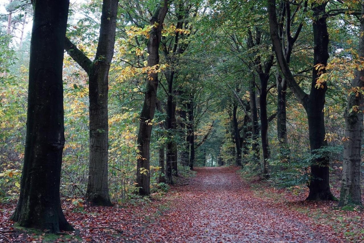 Heerlijke Vakantiewoning Veluwse Bossen Putten Dış mekan fotoğraf