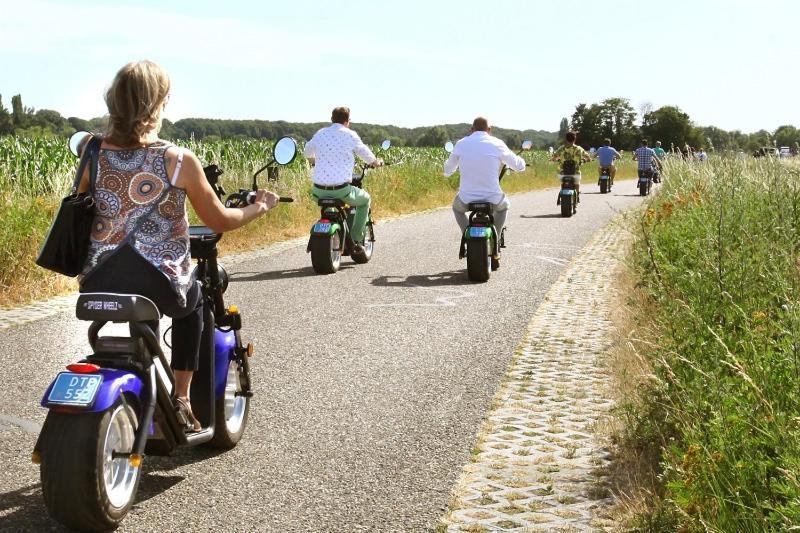 Heerlijke Vakantiewoning Veluwse Bossen Putten Dış mekan fotoğraf